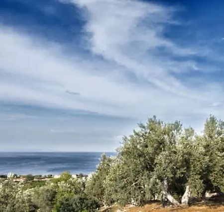 Stunning Eco In Epidavros -akros Estate
